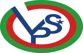 Vision Steel Star Painting L.L.C